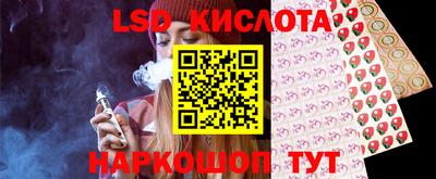 шишки Бийск