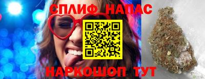шишки Бийск