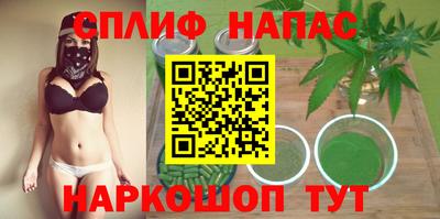 шишки Бийск