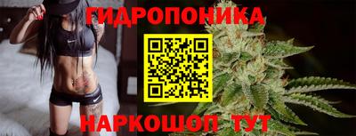 шишки Бийск