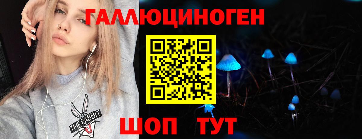Качканар  Галлюциногенные грибы GOLDEN TEACHER  Вход с VPN 