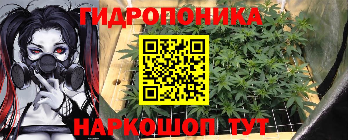 МАРИХУАНА планчик  Канабис конопля  Вход с VPN  Шишки марихуана гибрид  Качканар 